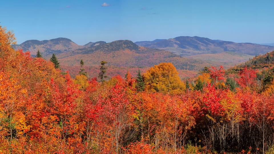Scenic view of White mountain national forest in New Hampshire along Kancamagus highway.