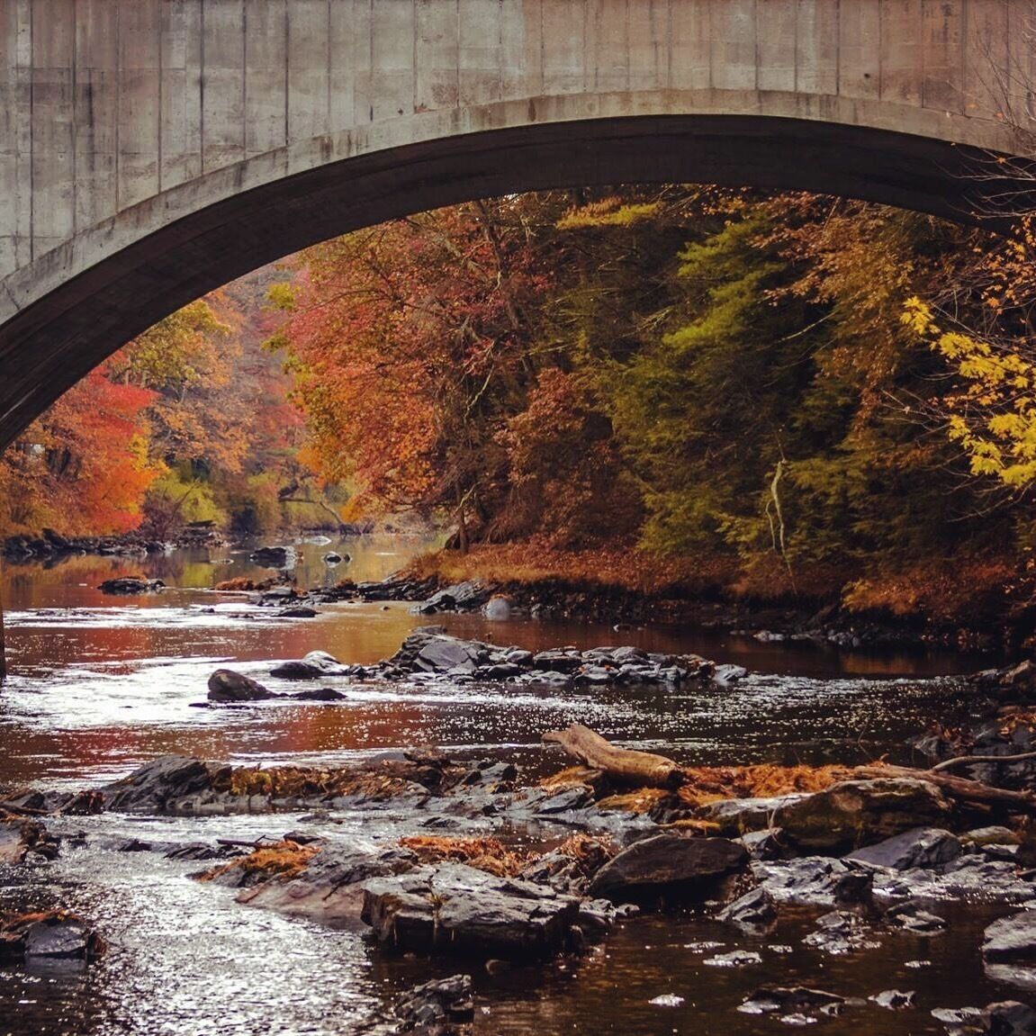Fall 2016 in Hollis NH