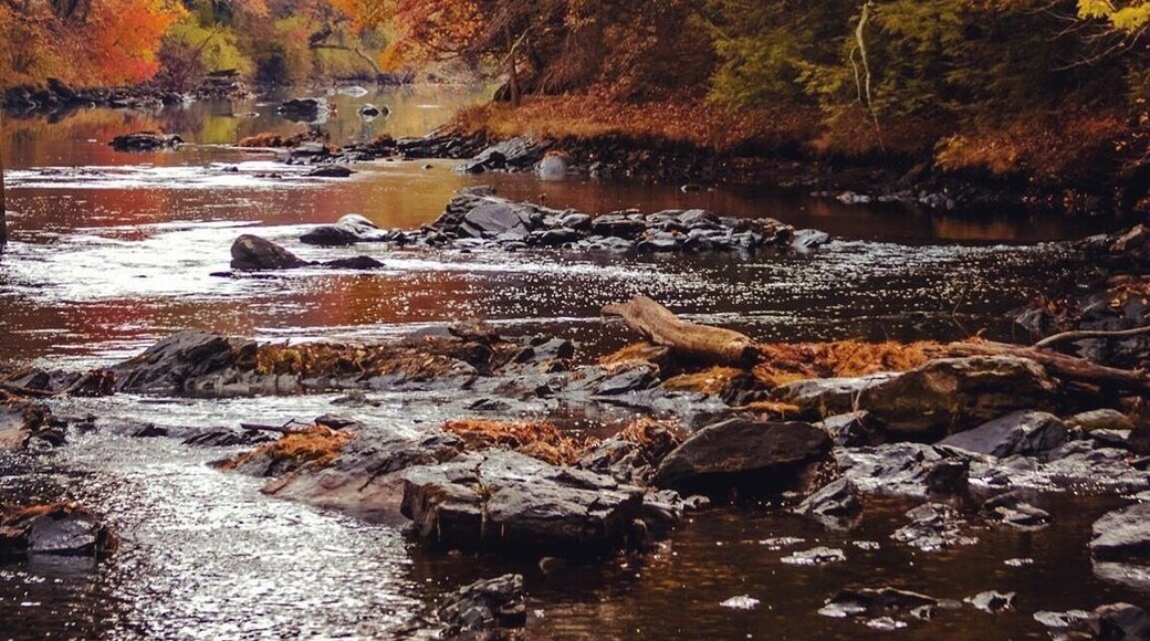 Fall 2016 in Hollis NH