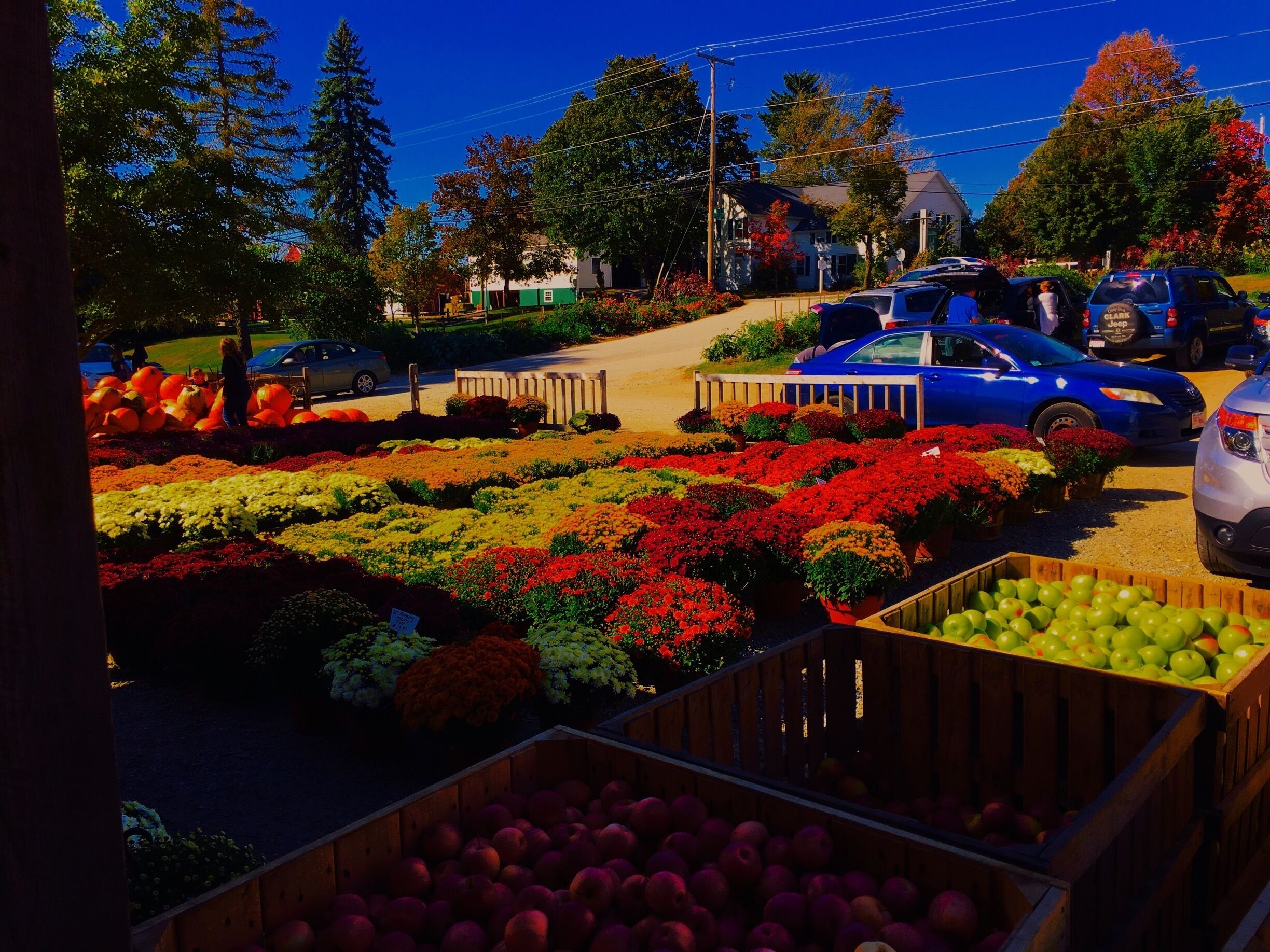 Great place to stop and get produce and apples. Places like these are a staple in The Autumn in New England. It was a perfect day! 