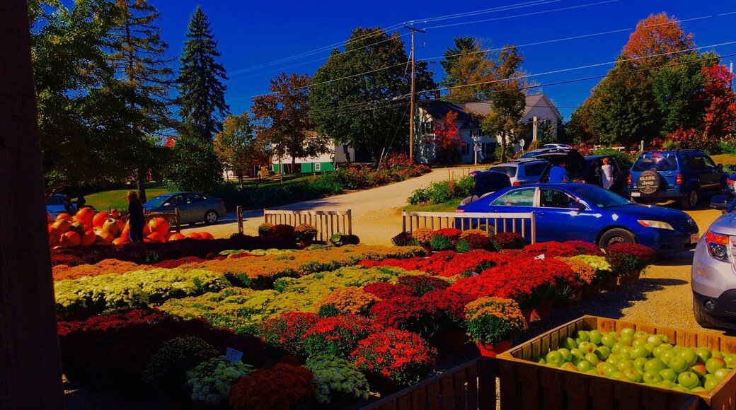 Great place to stop and get produce and apples. Places like these are a staple in The Autumn in New England. It was a perfect day!
