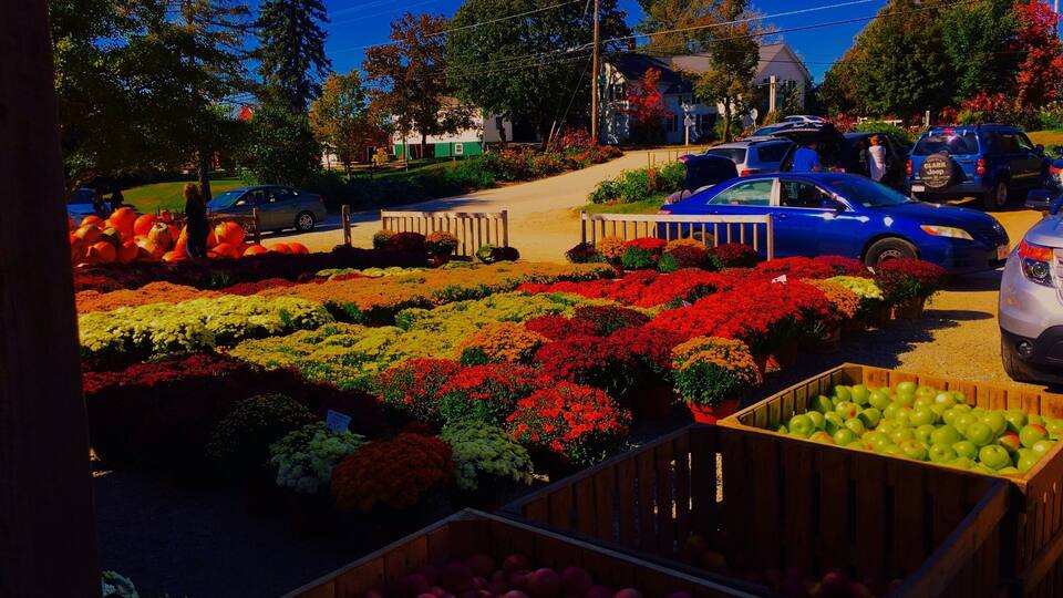 A parking lot with colorful flower beds and a wooden fence.