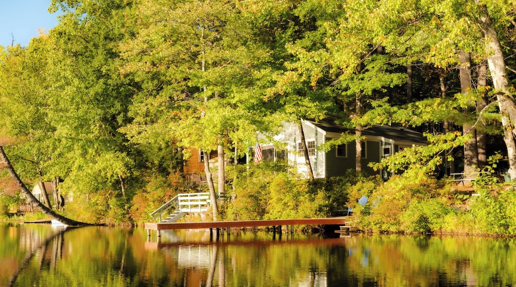 Picture taken from the small dock at the edge of the beach of a part of the shore line that runs all around the lake.