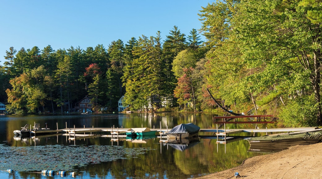 Here in this pic you can see the dock where we took the other pic of the shore line as well as a part of Sandy beach. Its not a huge beach,but for the size of the park, plenty of room, even during peak months.