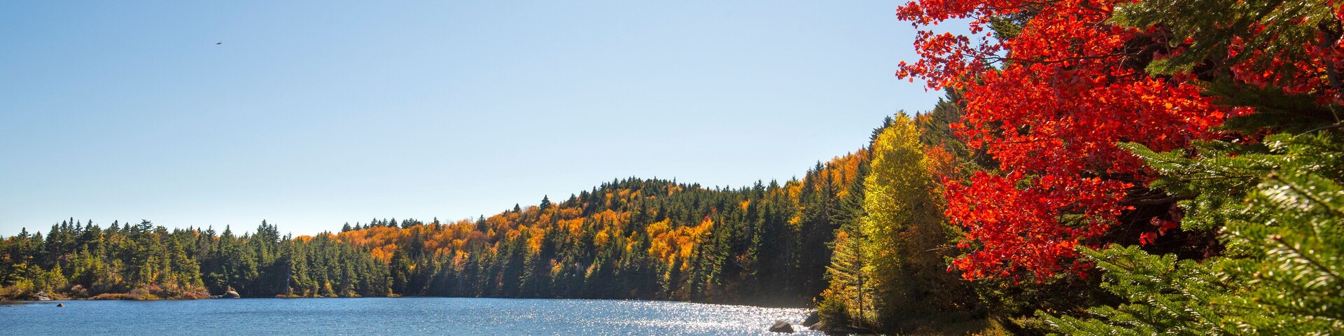 Vibrant fall foliage along the shoreline of Lake Solitude.