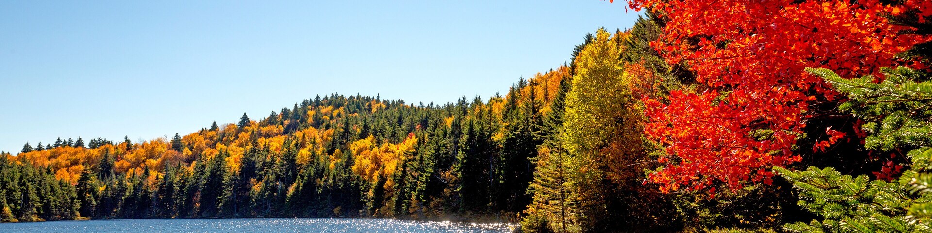 A lake surrounded by autumn-colored trees and a clear blue sky.