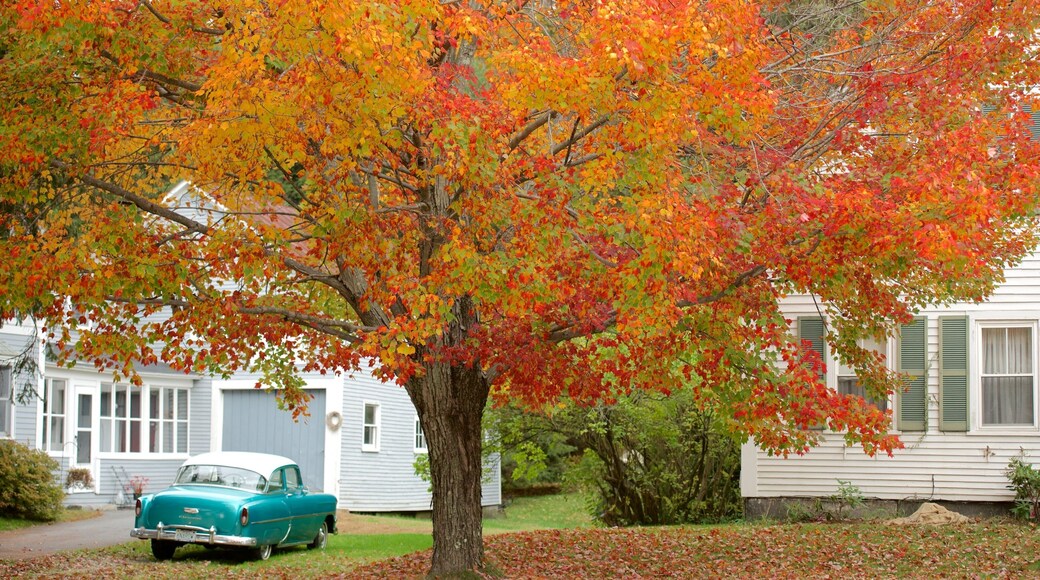 New Hampshire qui includes couleurs d\'automne et maison