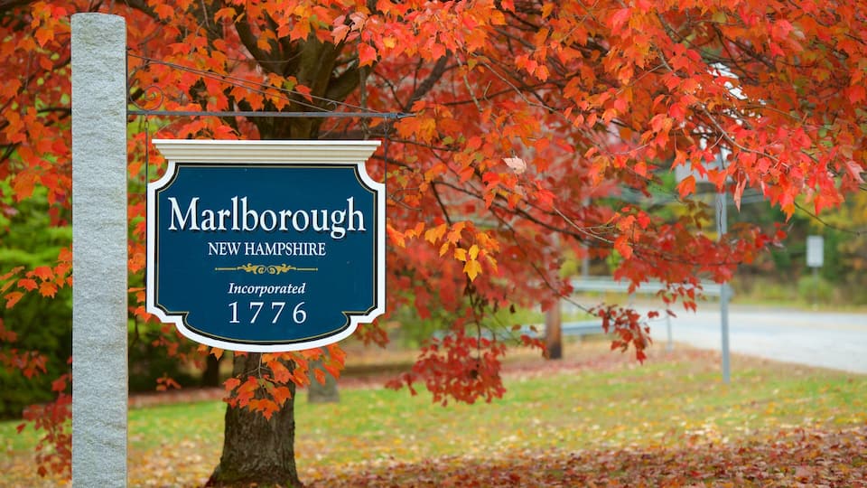 A sign for Marlborough, New Hampshire, incorporated in 1776, with a backdrop of autumn foliage.
