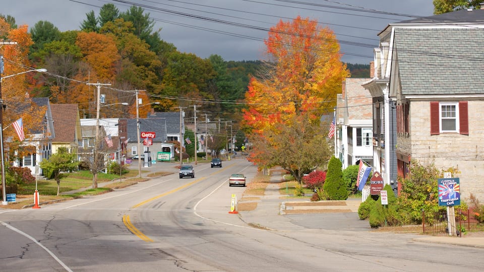 A street lined with autumn-colored trees, a 'Getty' store, and a 'Vegetarian Cafe'.