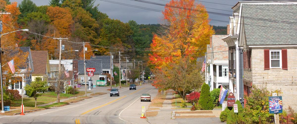 A street lined with autumn-colored trees, a 'Getty' store, and a 'Vegetarian Cafe'.