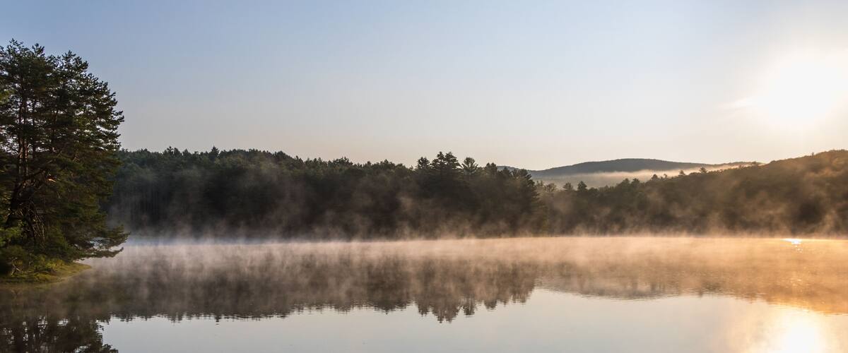 A misty lake with dense forest and a distant hill.