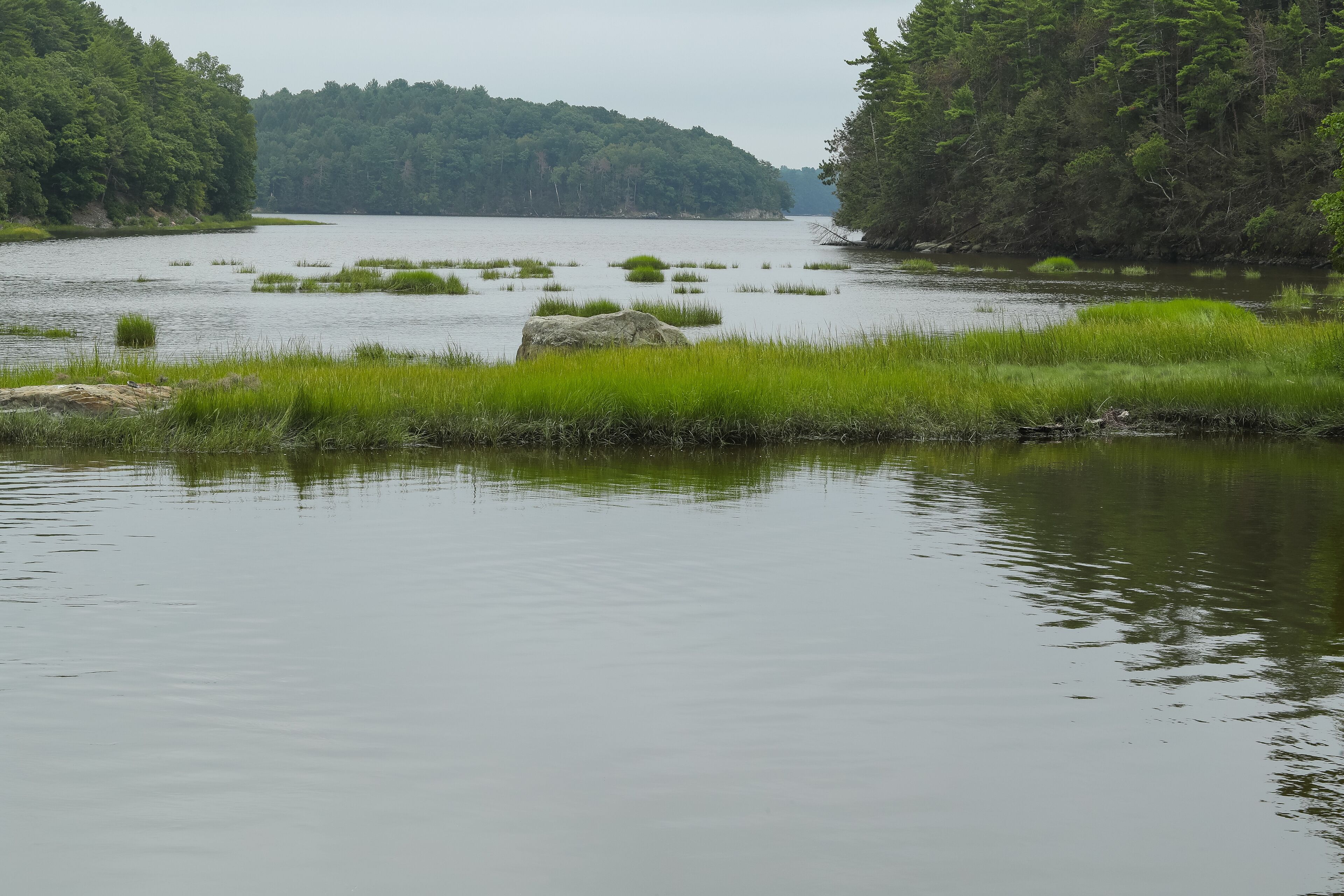 Horsehide Brook, Durham, New Hampshire  USA