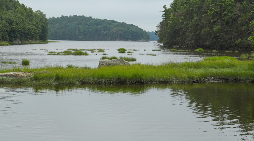 Horsehide Brook, Durham, New Hampshire USA