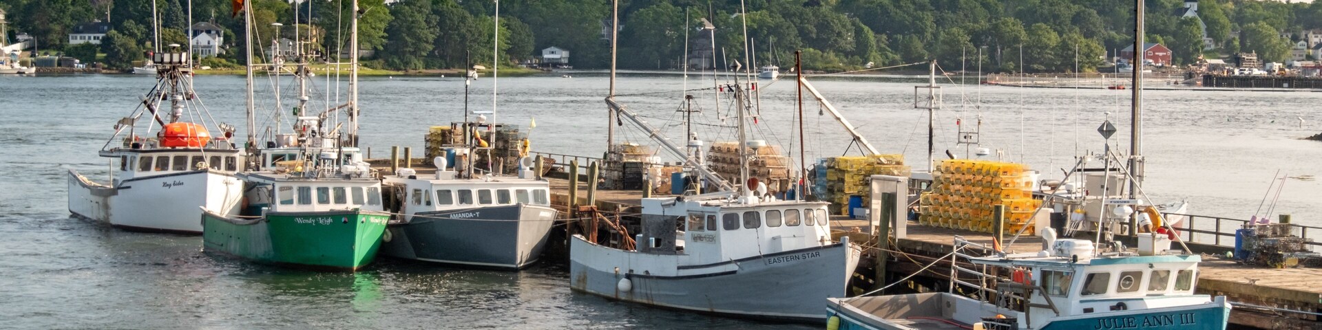 The Fishing Fleet