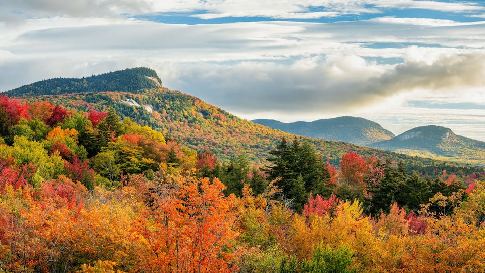 A mountainous landscape with autumn foliage in various colors.