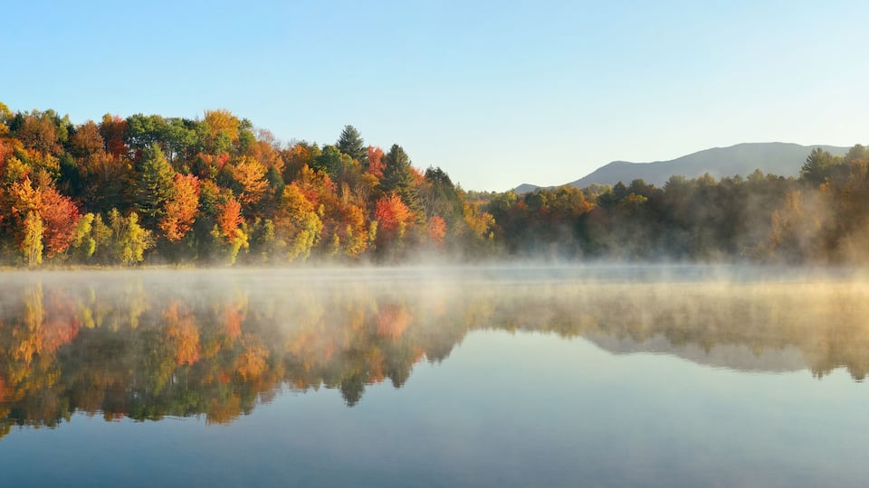 A calm lake reflecting colorful autumn trees and misty mountains in the distance.