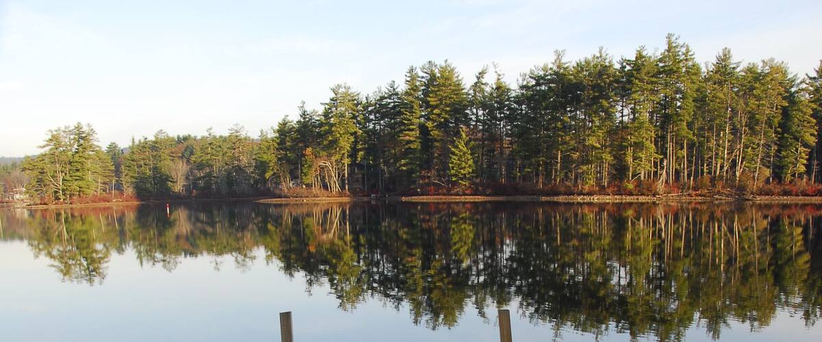 A wooden pier extending into calm water, surrounded by dense trees reflecting in the still surface.