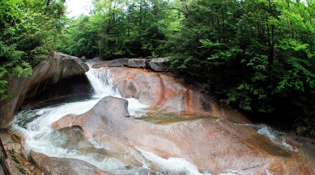 #hiking.. i love hiking being out doors following a trail or just making my own fresh air and the out doors is amazing. i hike every chance i can close to home or travel to find new locations, I'm from akron Ohio but i love to travel this photo was from..NH great adventures all around