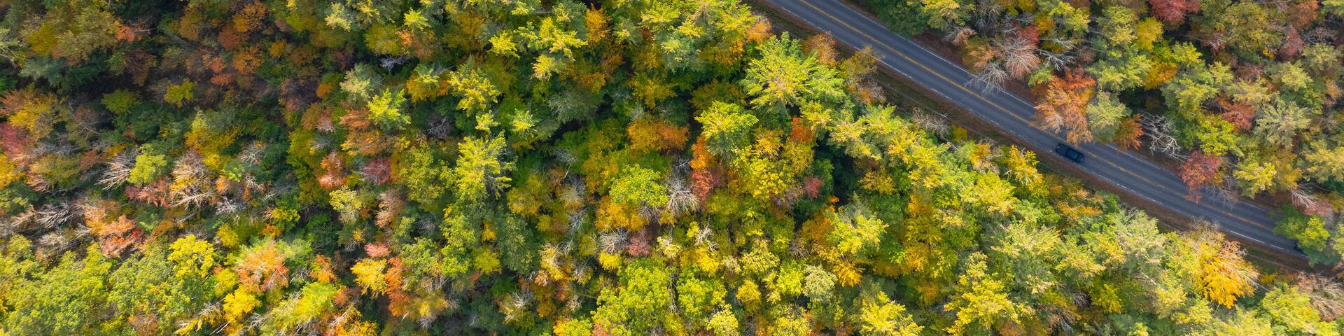 Top view of fall foliage forest in Tuftonboro historic town center, New Hampshire NH, USA.