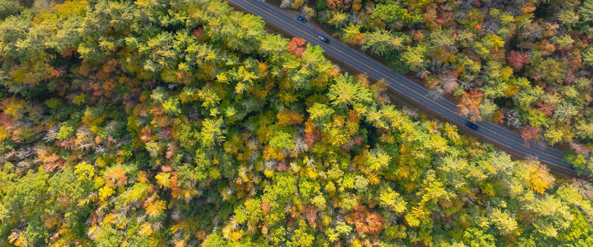 An aerial view of a road winding through a forest with autumn foliage.