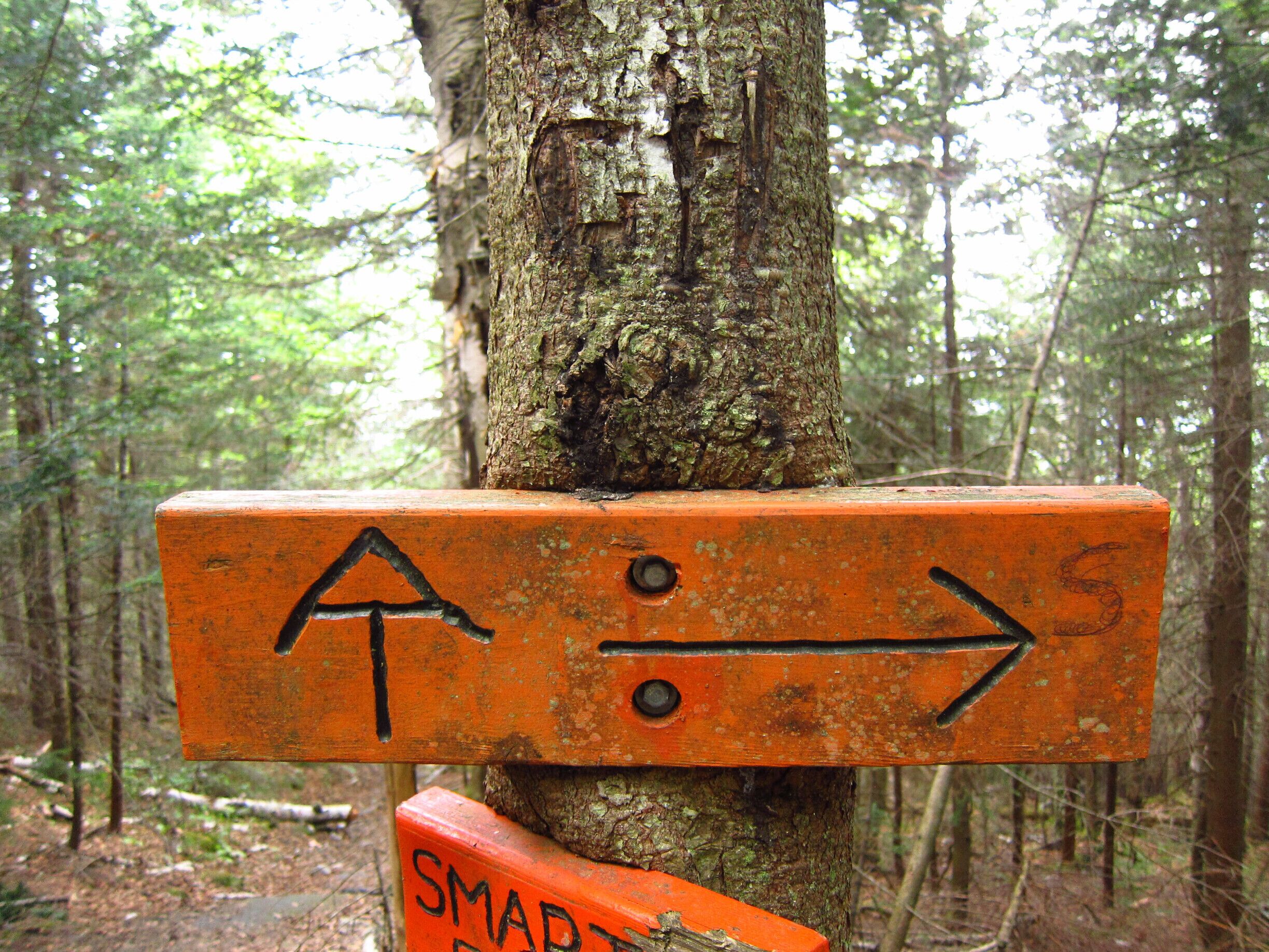 The Appalachian Trail is one of the longest trail to follow, the most committed hikers leave at the beginning of the Spring to finish in the fall. That AT symbol is a familiar encounter to all these hikers. Long or short, #TakeAHike along the Appalachian Trail