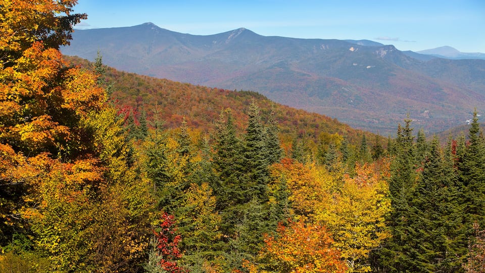 A forested mountain range with autumn foliage.