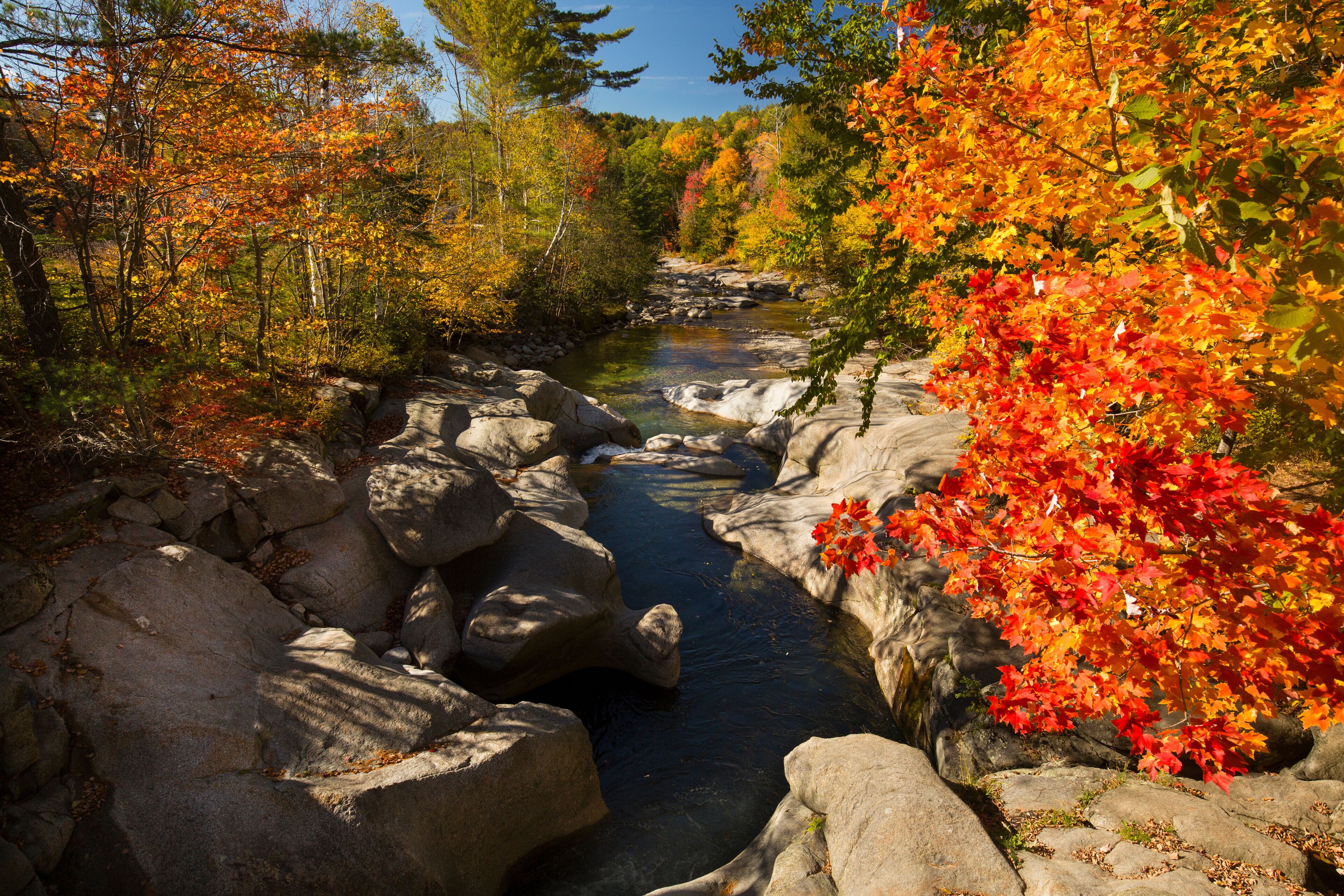 Dramatic fall foliage along the Baker River, Warren, New Hampshi