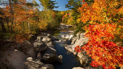 Dramatic fall foliage along the Baker River, Warren, New Hampshi