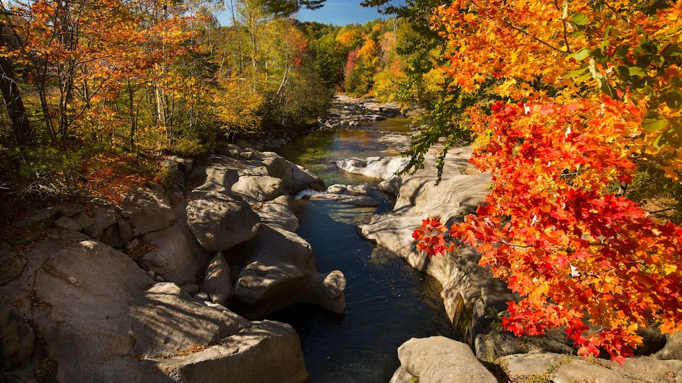 A river flowing through a rocky landscape with autumn-colored trees.