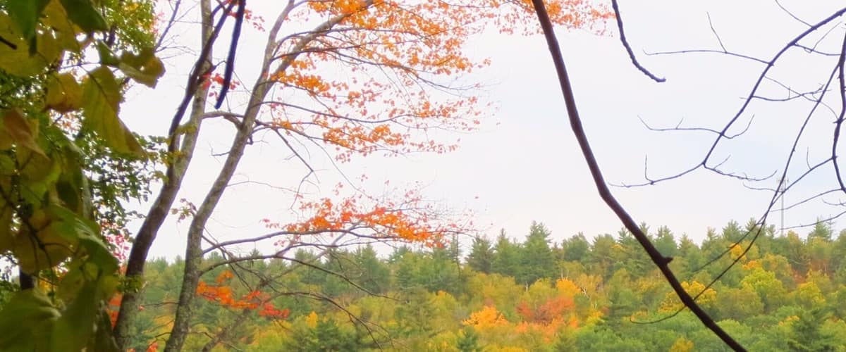 Anywhere you walk, drive or fly to in New Hampshire this week!. #fallfoliage never gets old!