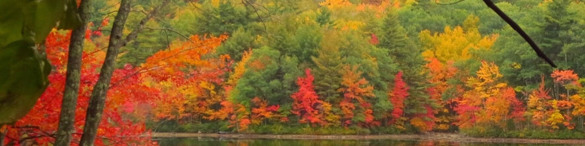 Anywhere you walk, drive or fly to in New Hampshire this week!. #fallfoliage never gets old!