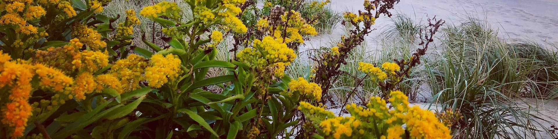 I love the Jersey Shore in wintertime.