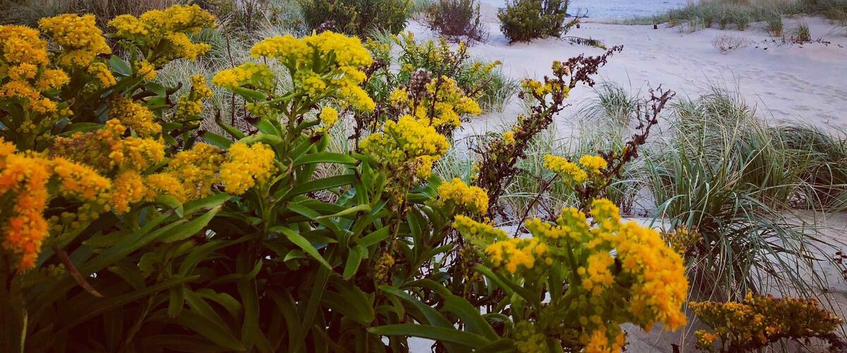 I love the Jersey Shore in wintertime.