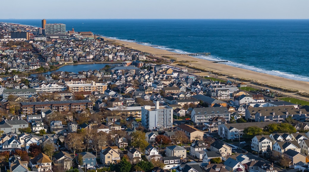 ساحل برادلي