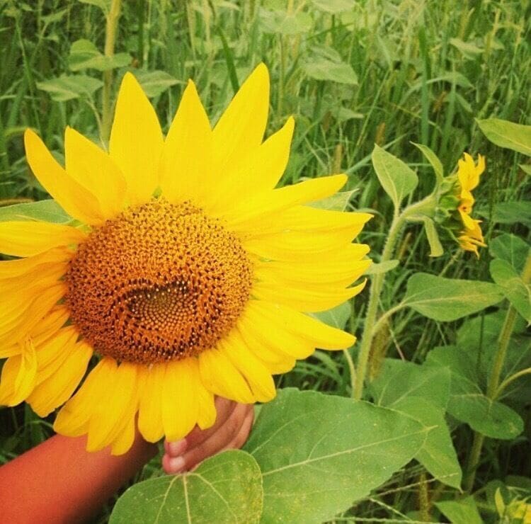 Northern NJ is beautiful  #troveontuesday #Hometown #nature #localsecrets  #trovember