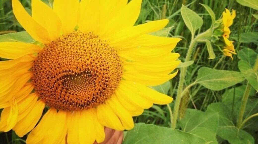 Northern NJ is beautiful #troveontuesday #Hometown #nature #localsecrets #trovember