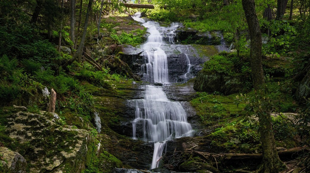 Buttermilk Falls located off the beaten path in the Delaware Water Gap