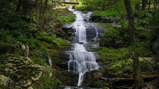 Buttermilk Falls located off the beaten path in the Delaware Water Gap