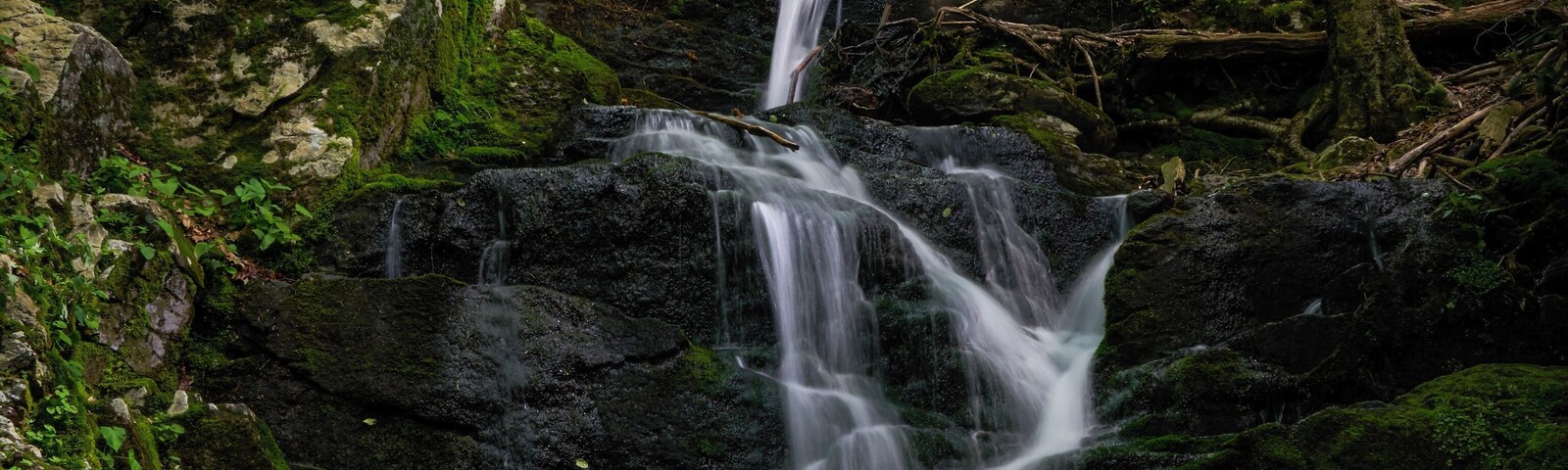 A multi-tiered waterfall in a forested area with moss-covered rocks and lush greenery.