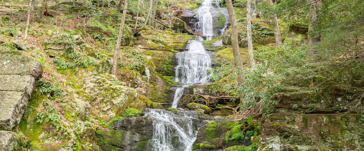 A cascading waterfall in a forested area with moss-covered rocks and dense trees.