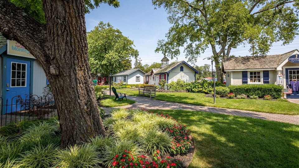 A quaint village with small houses, a large tree, and a well-maintained garden.