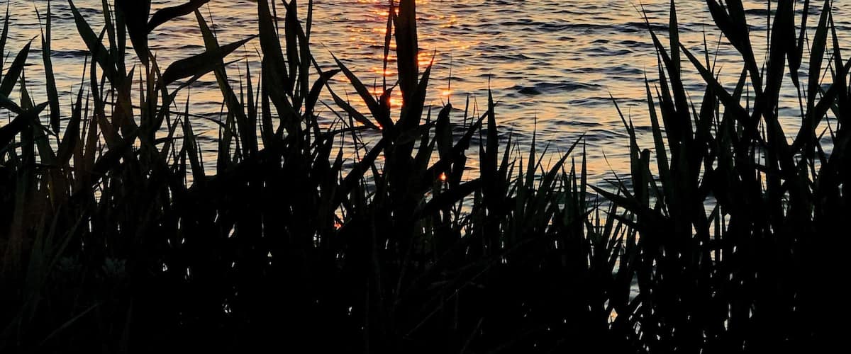 That crazy little sun of a beach #adventure