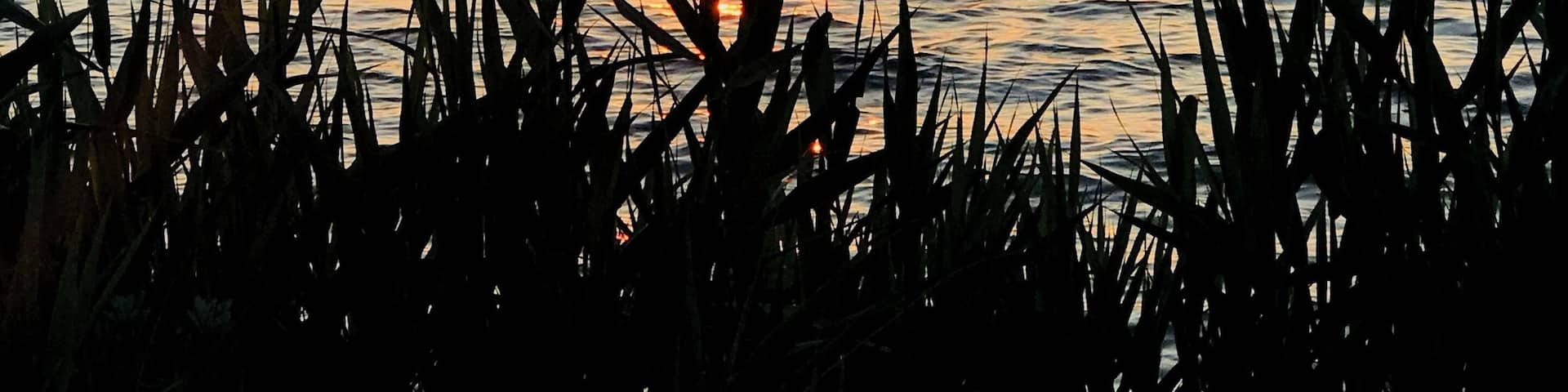 That crazy little sun of a beach #adventure