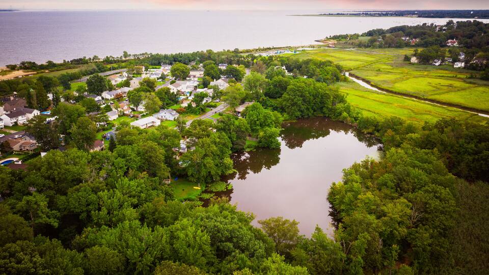 A lakeside community with houses, dense trees, and a river.