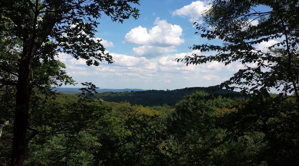 Took a hike a week ago at Silas Condict Park. It was a gorgeous day!