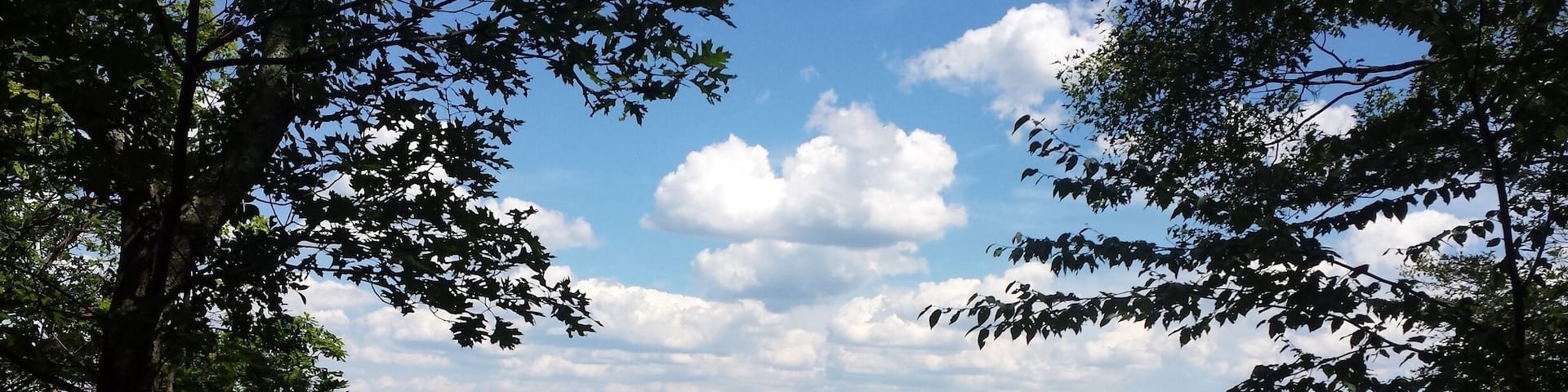 Took a hike a week ago at Silas Condict Park. It was a gorgeous day!