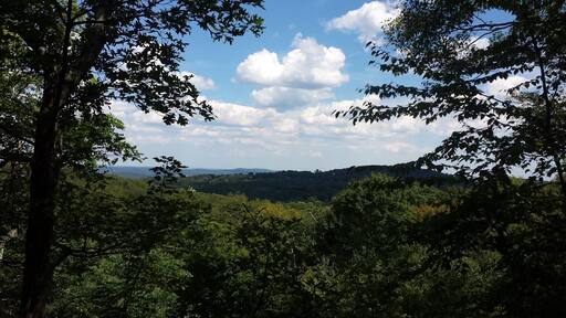 Took a hike a week ago at Silas Condict Park. It was a gorgeous day!