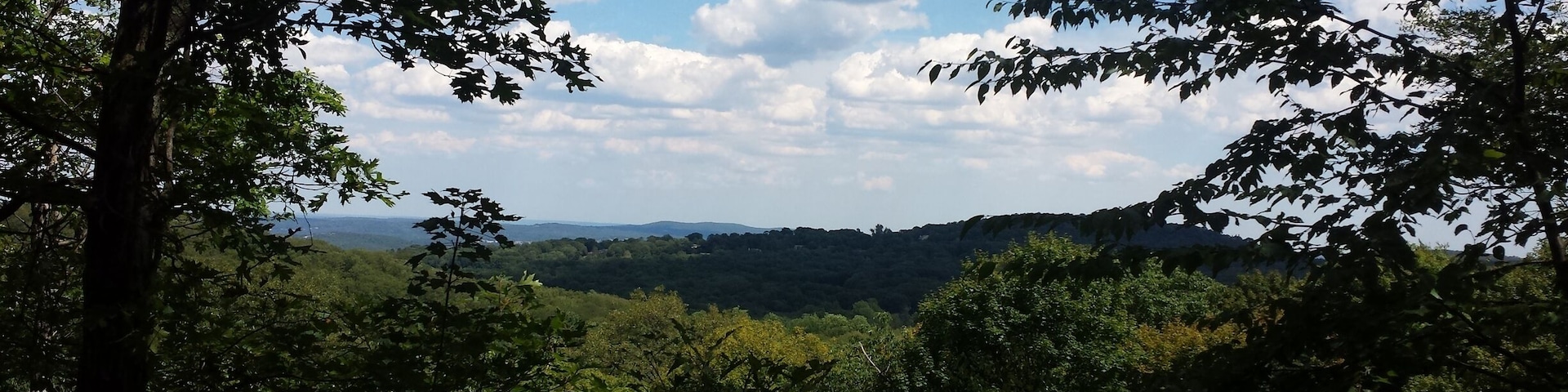 Took a hike a week ago at Silas Condict Park. It was a gorgeous day!