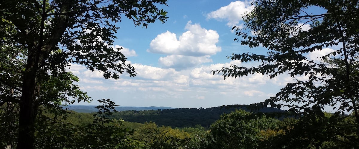 A forested valley with a clear sky and distant hills.