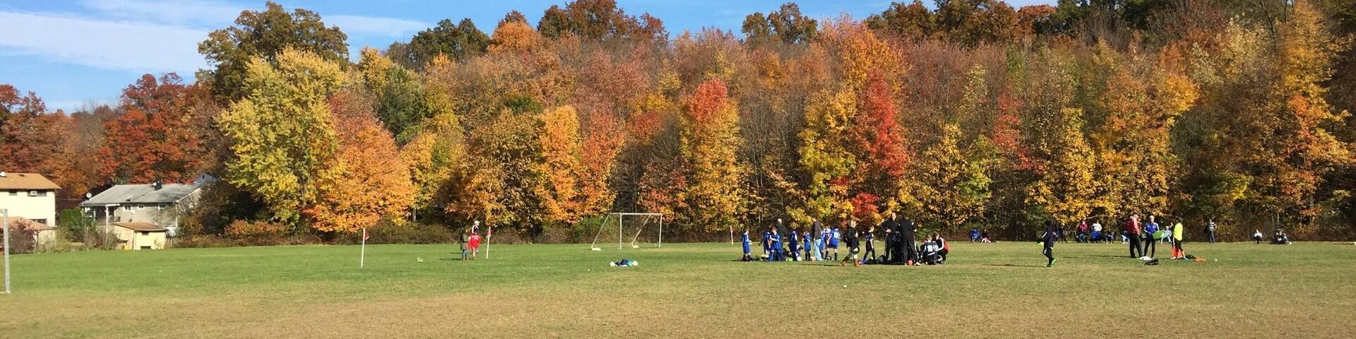 Lovely fall colors at the background of soccer field and clear day!